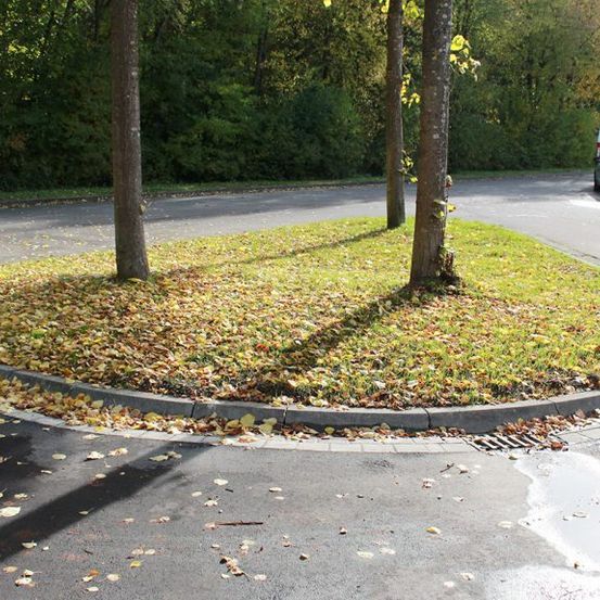 Versorgungsgräben, Baugruben, Rodungs- und Planierarbeiten, Drainagen, Erdarbeiten, Pflasterarbeiten, Baustelle, Hofeinfahrten, Parkplatzanlagen, Wegebau, Treppenanlagen, Asphaltarbeiten, Randeinfassungen, Bordsteine, Bürgersteigabsenkungen, Natursteinanlagen, Straßenausbesserungen, Pflasterzeilen, Fuhrmann Tiefbau